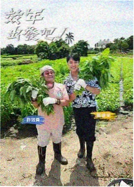 同桌的第三年 封面